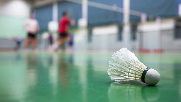 Jasa Pembuatan Lapangan Badminton Bogor